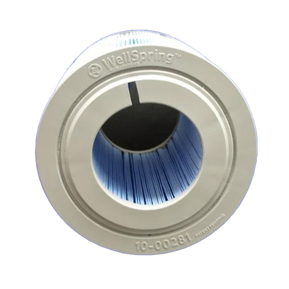 Bullfrog Wellspring 281 Filter 2-Pack | Hot Tub Things
