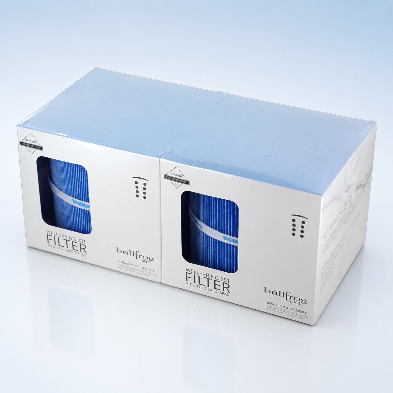 Bullfrog Wellspring 281 Filter 2-Pack | STIL Series – Hot Tub Things