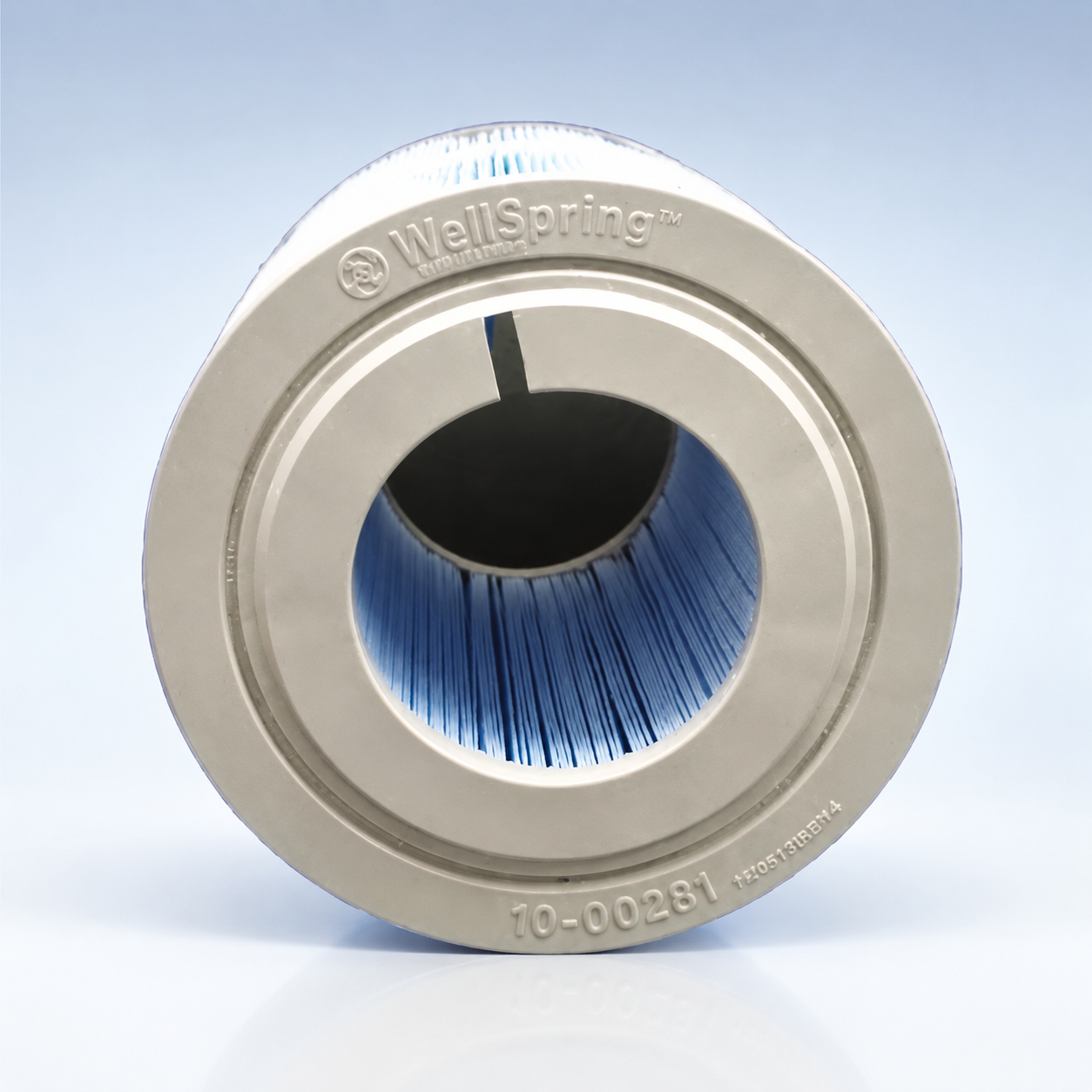 Bullfrog Wellspring 281 Filter 2-Pack | STIL Series – Hot Tub Things